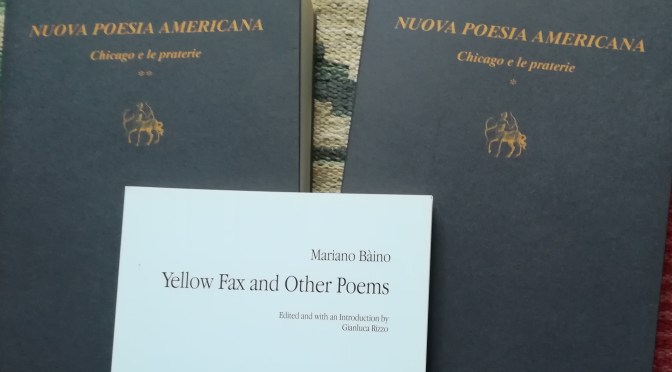 Import-export poesia