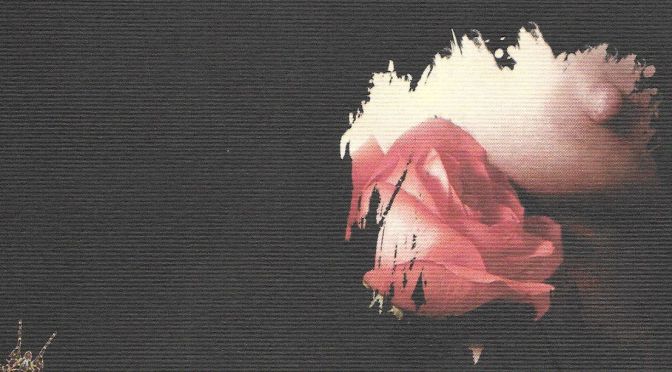 Lubrano: poesia e eros