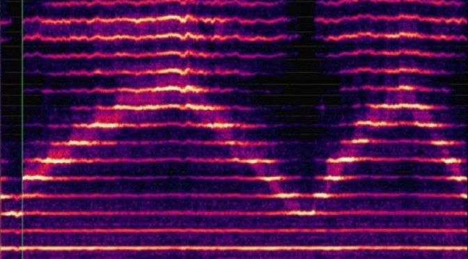 Monodia e polifonia, un articolo di Antonio Amendola